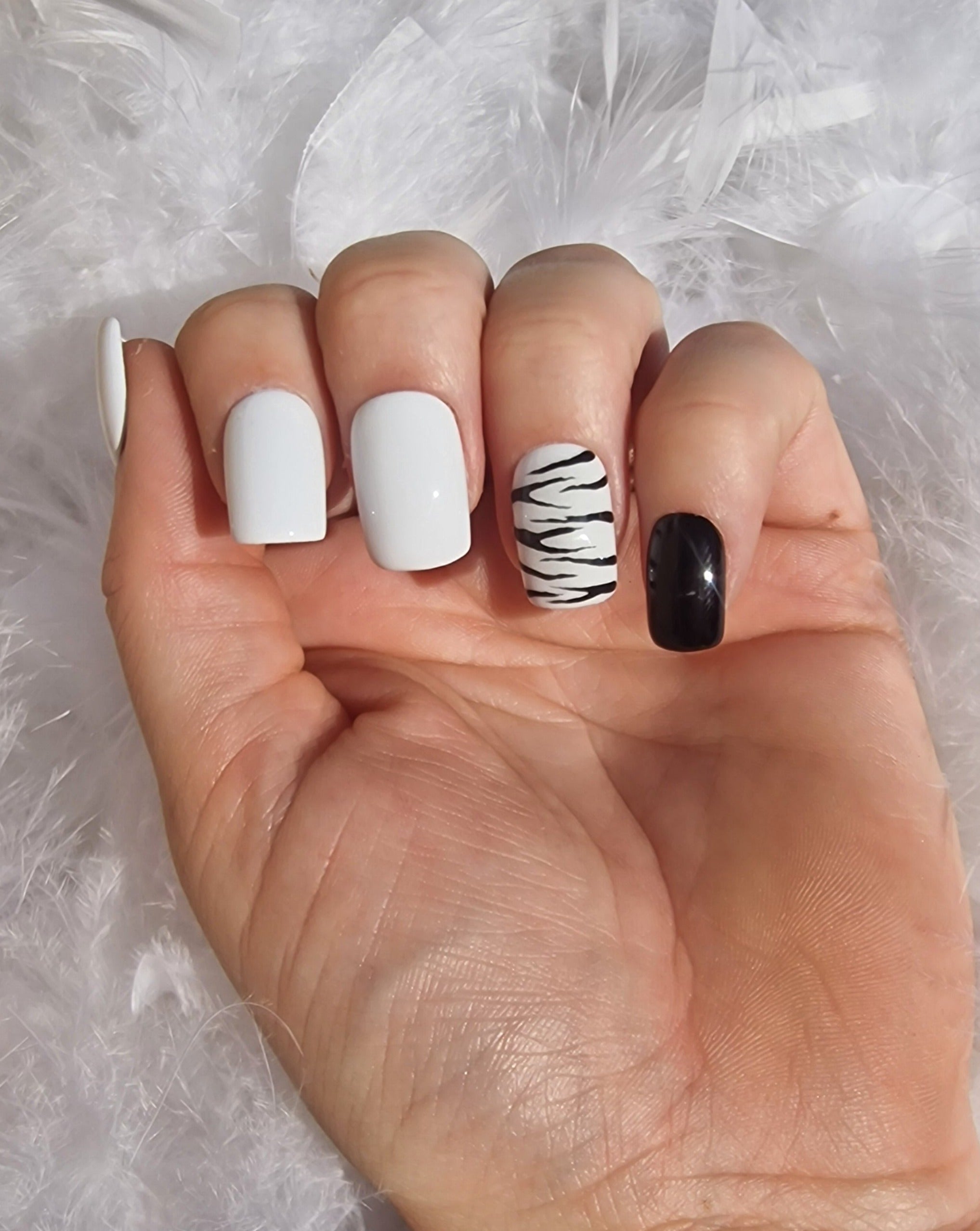 Zèbre SUR COMMANDE