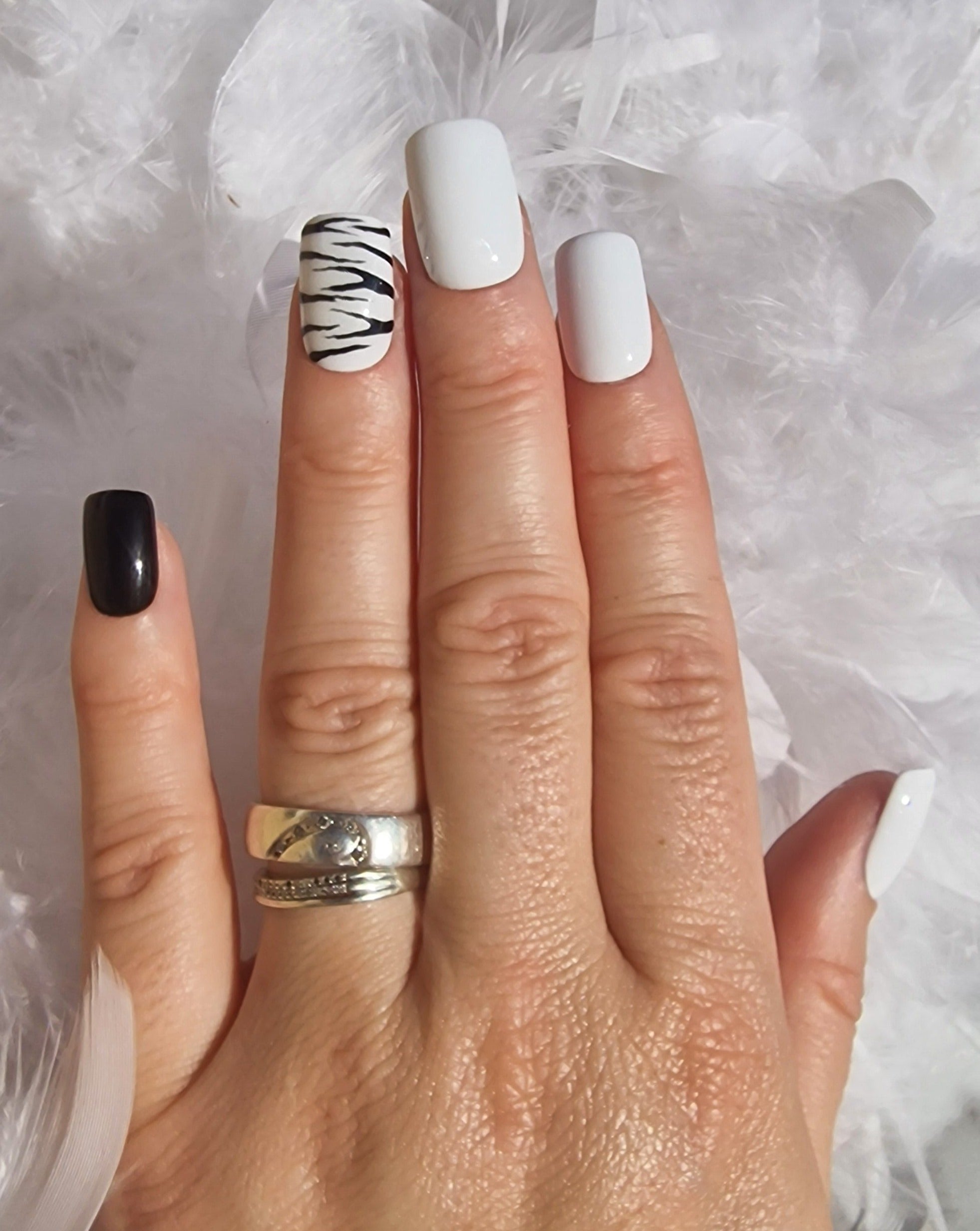 Zèbre SUR COMMANDE