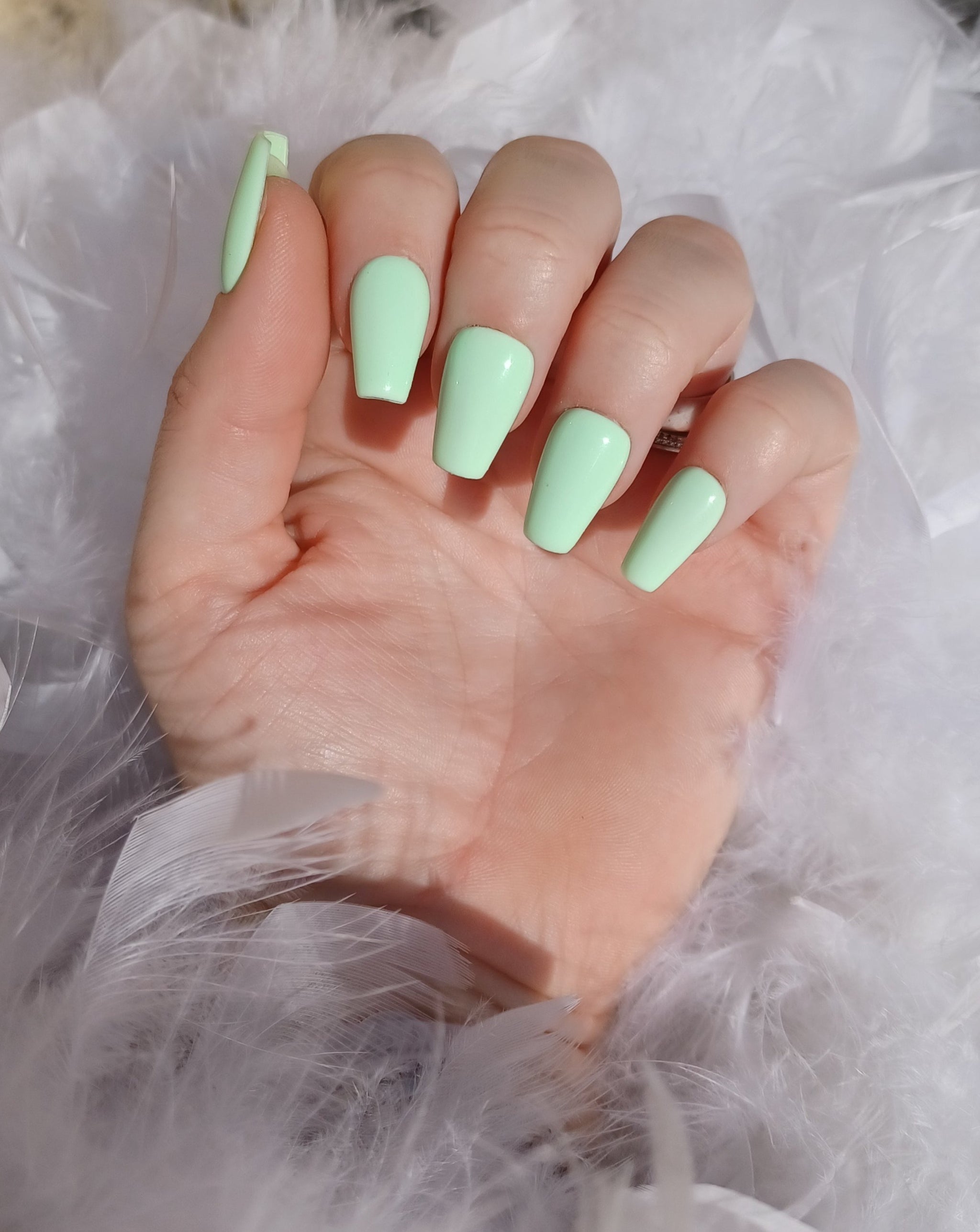 1 Couleur SUR COMMANDE