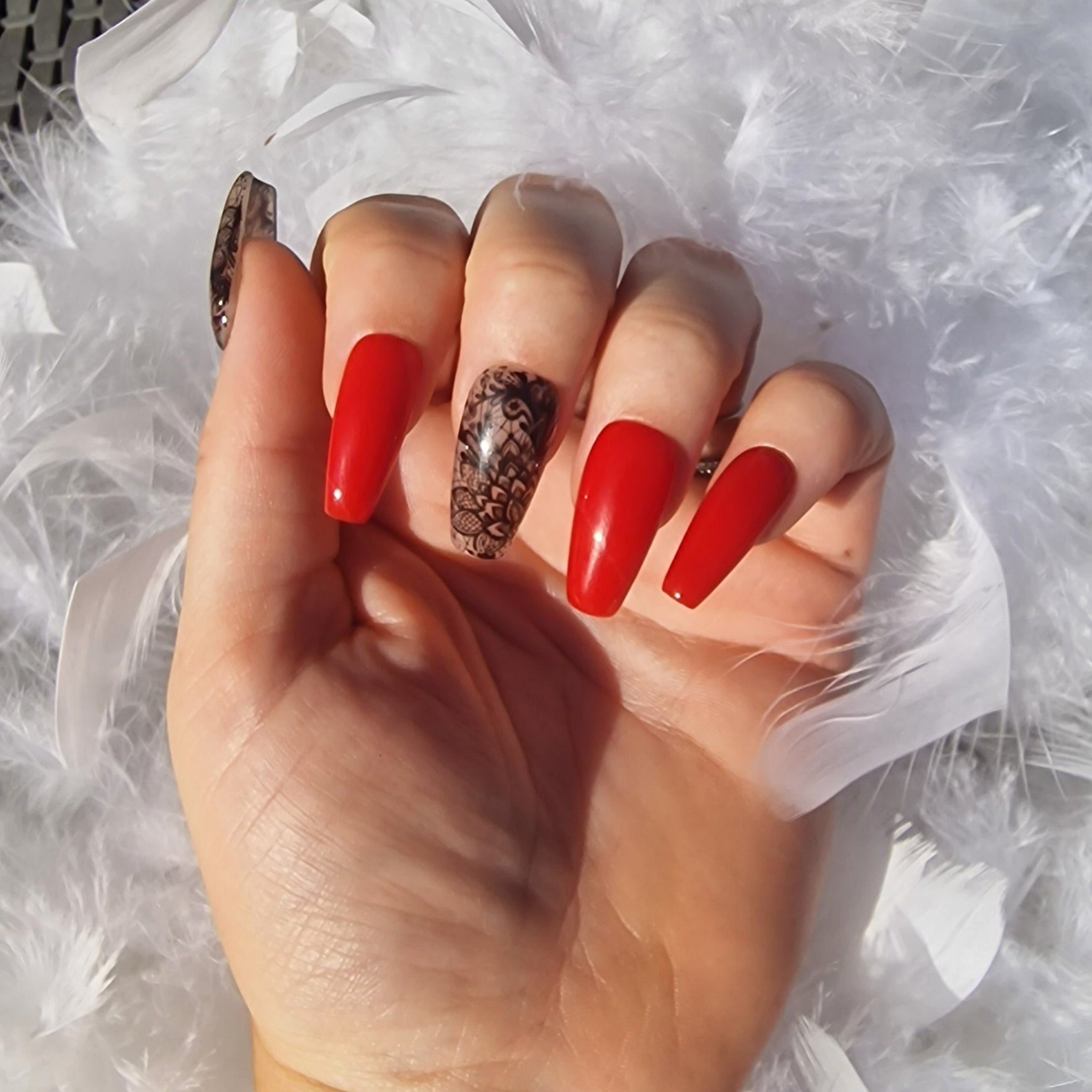 Dentelle COFFIN M