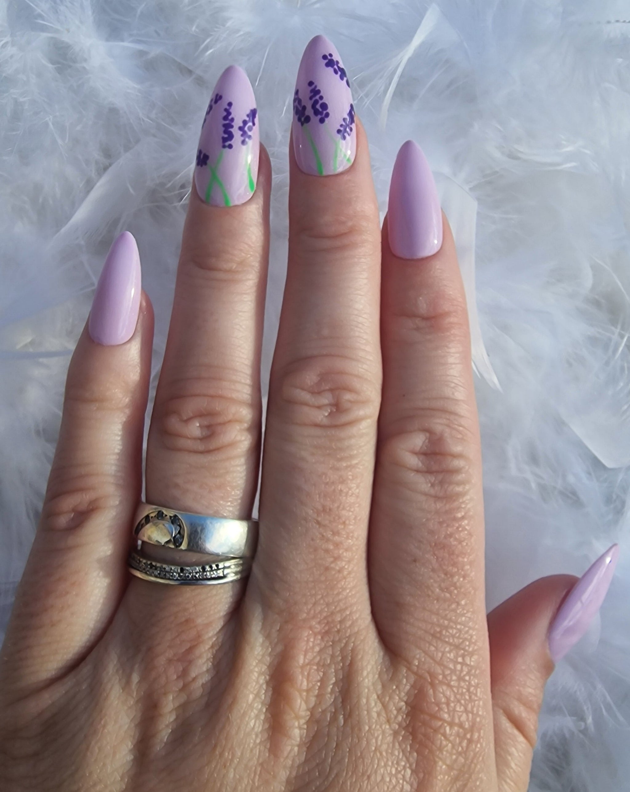 Lavande SUR COMMANDE