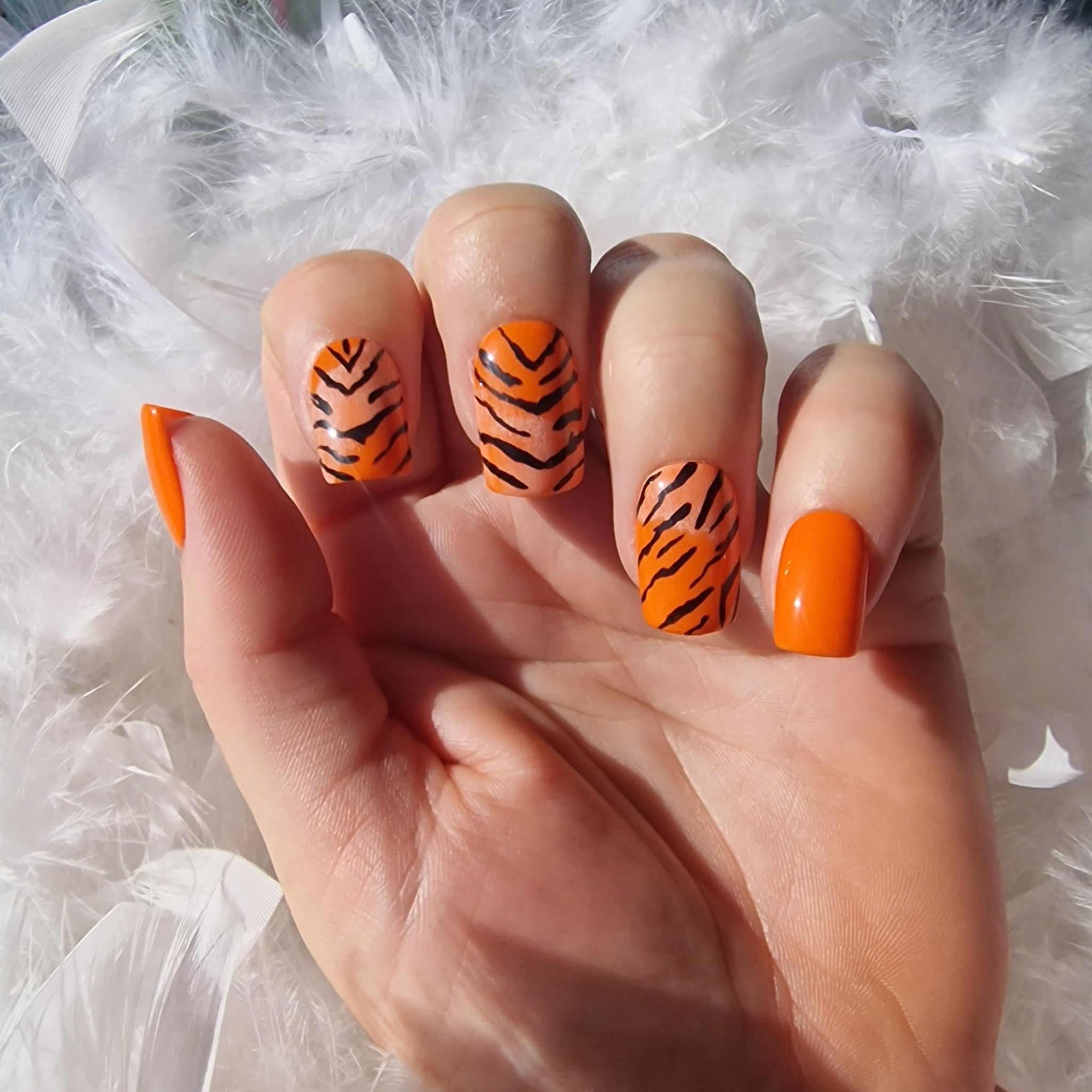 Tigre SUR COMMANDE