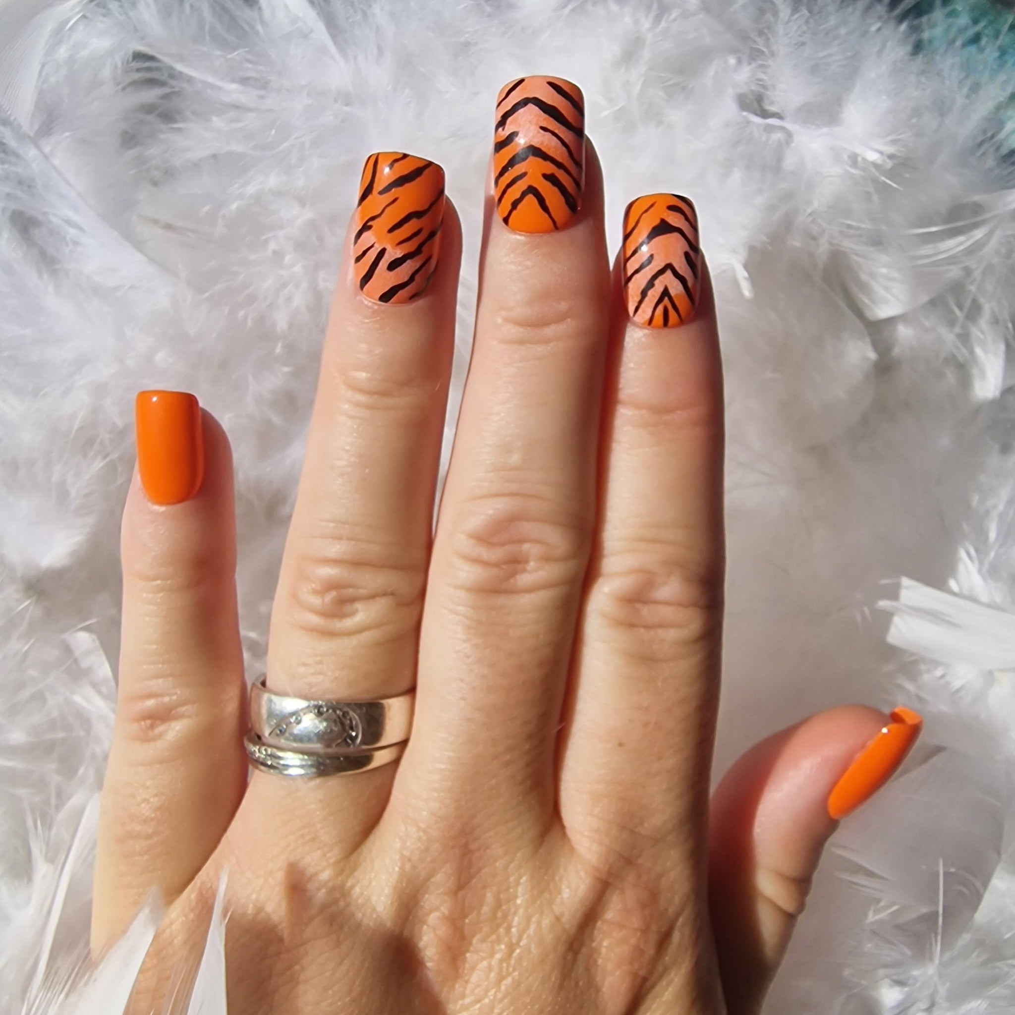 Tigre SUR COMMANDE