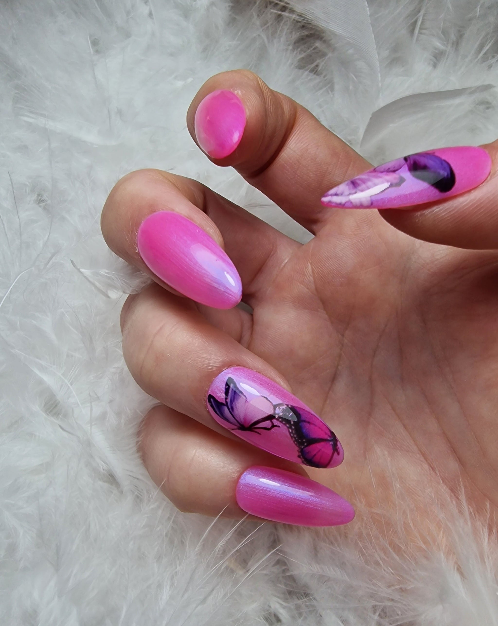Papillon SUR COMMANDE
